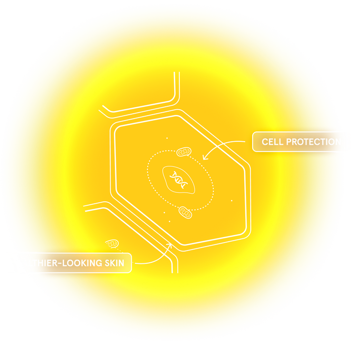 Amber Light Graphic
