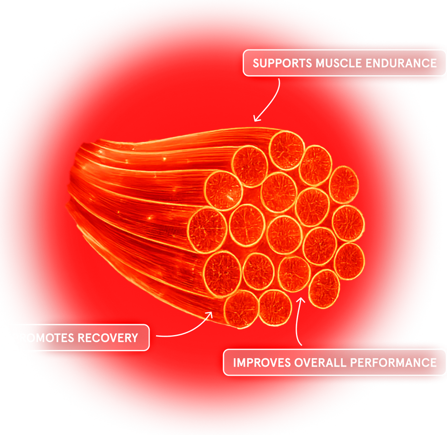 red light effect on muscles