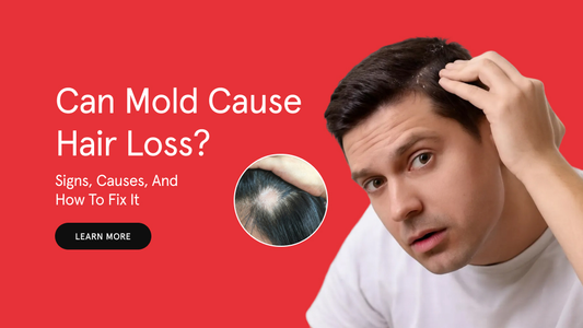 Can Mold Cause Hair Loss? Signs, Causes, and How to Fix It