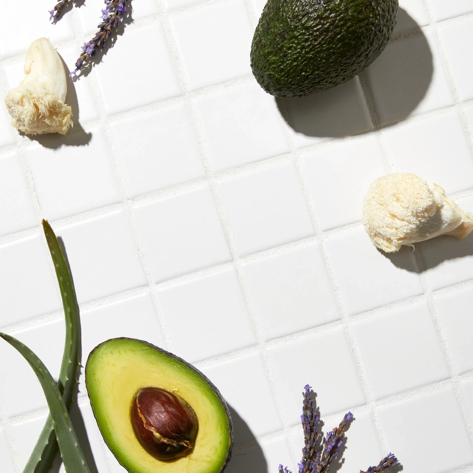 Image showing the ingredients of the Growth Activator Serum. Including avocado, mushroom, aloe vera and lavander.
