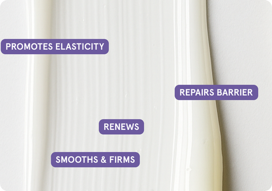 promotes elasticity, repairs barrier, renews, smooths & firms