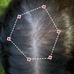 Top down view after image of a woman with thicker hair at the frontal region of her hair.