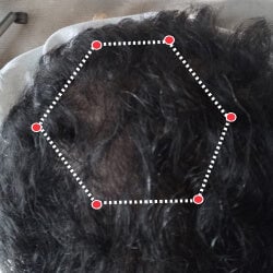 Top down view after image of a man showing the bald spot in his crown started to grow hair.