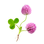 Capixyl flowers