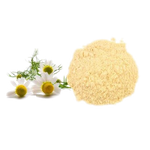 Chamomile flower beside chamomile powder