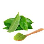 Green tea leaves beside a spoonful of green tea powder