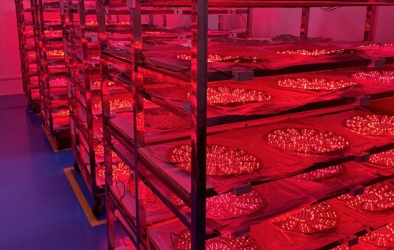 A room filled with shelves holding devices emitting red LED light, used by iRESTORE for product testing purposes