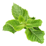 Image of Peppermint leaves.