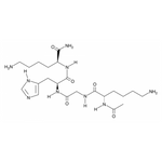 Image of Peptide chemical bond.