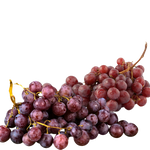 Grapes on stem