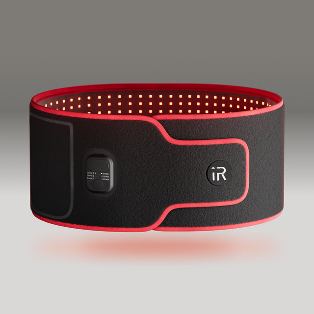 Front view shot of the sculpt belt.