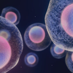 cellular health