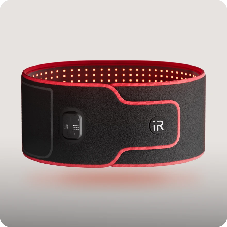 sculpt belt