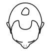 Icon for Bald Spots