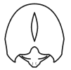 Icon for Widening Parts