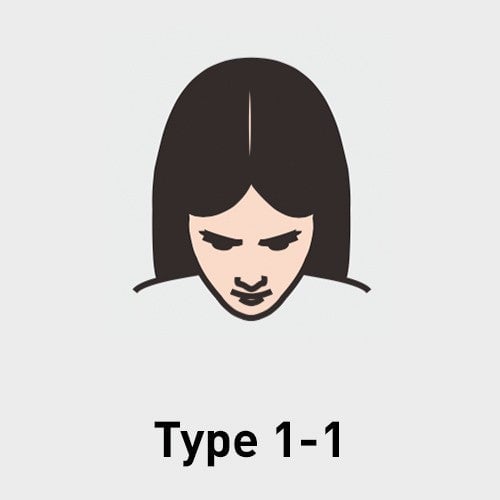 Type 1-1