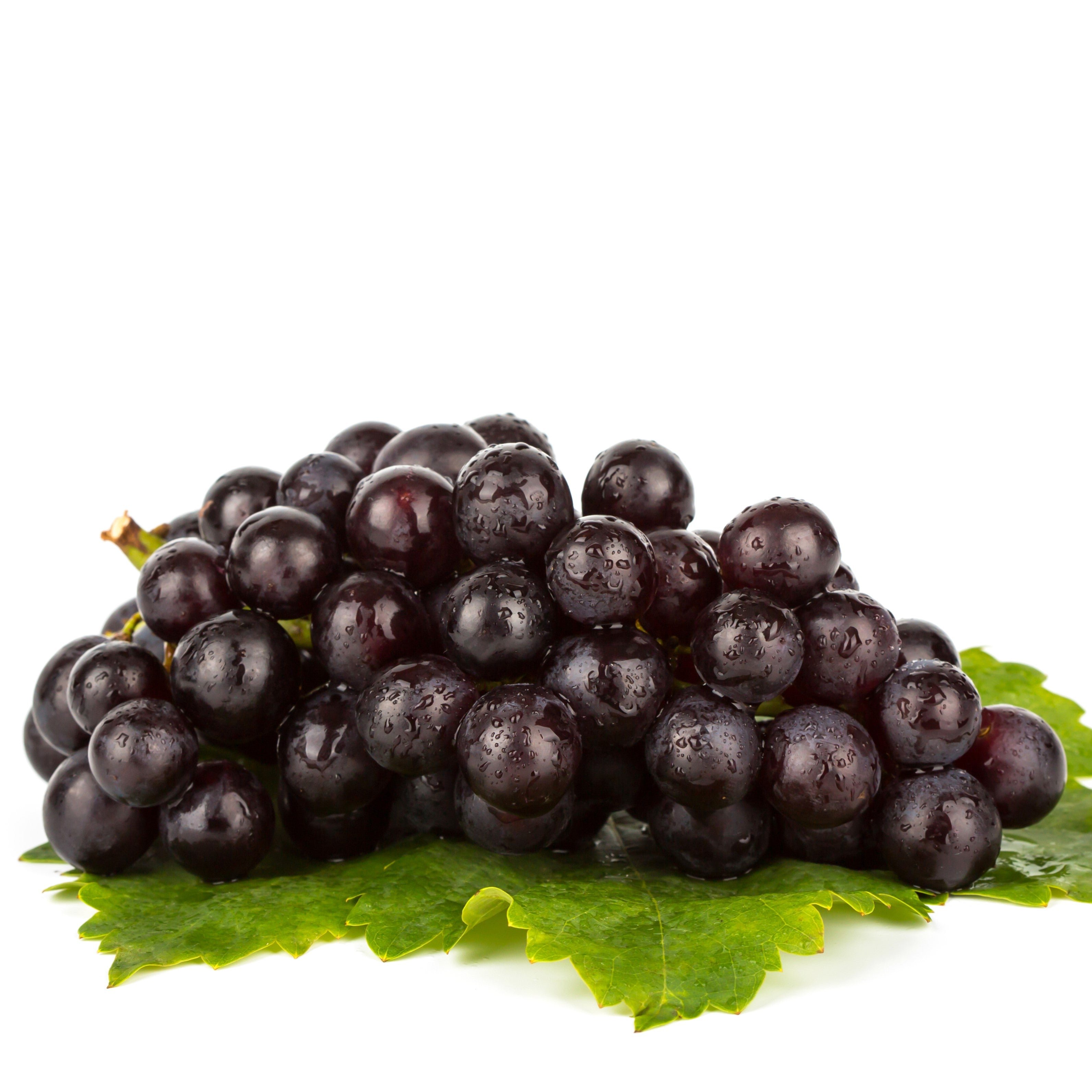 A cluster of fresh, wet black grapes on green leaves against a white background.